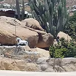 Oniropetra Mykonos Plintri